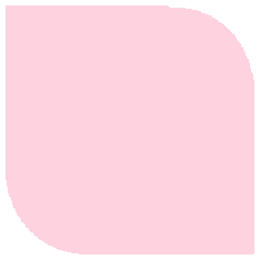 4009-ROSA